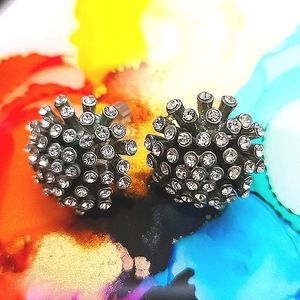 3/29 THE LIMITED EARRINGS